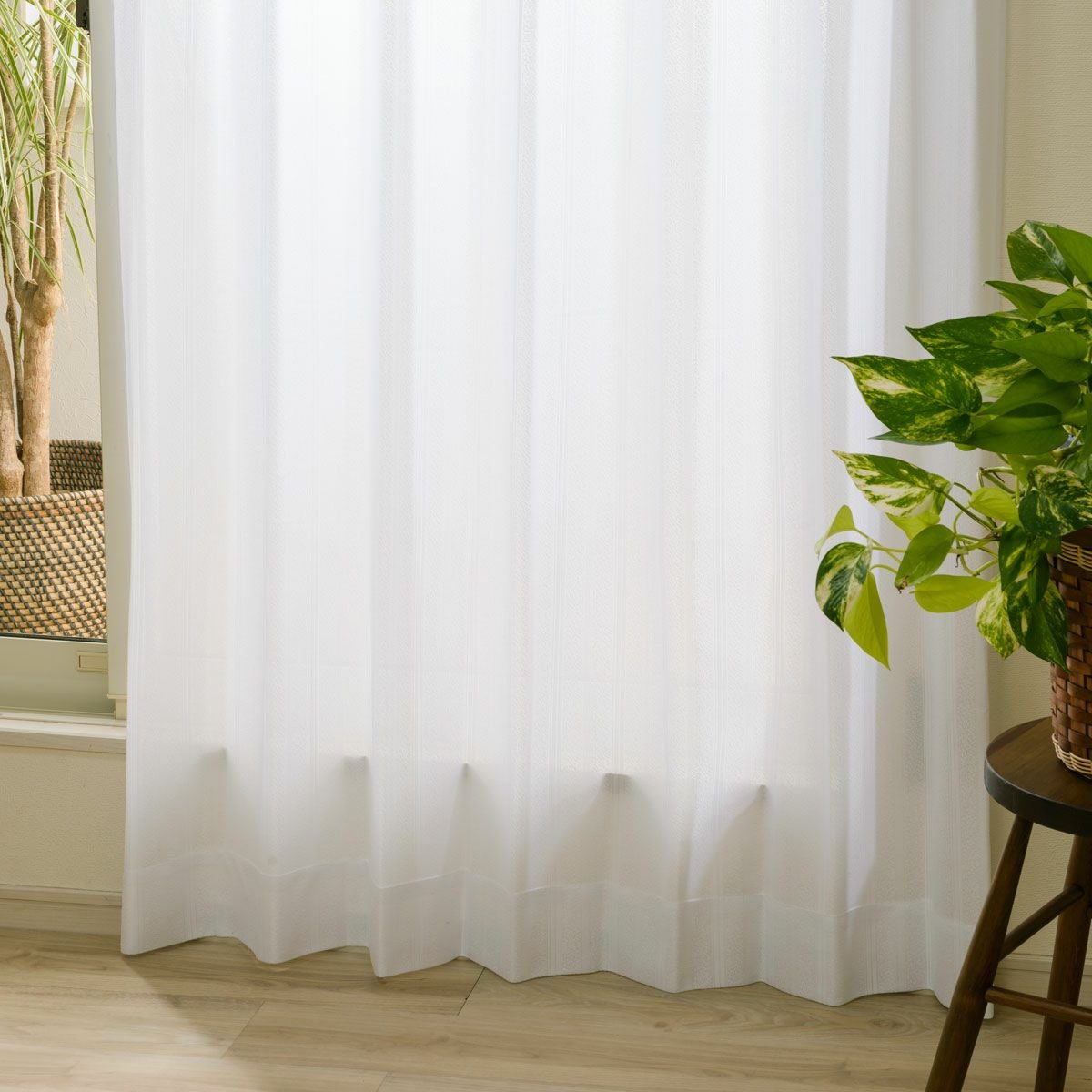 000000013892-01.jpg?size=l&w=