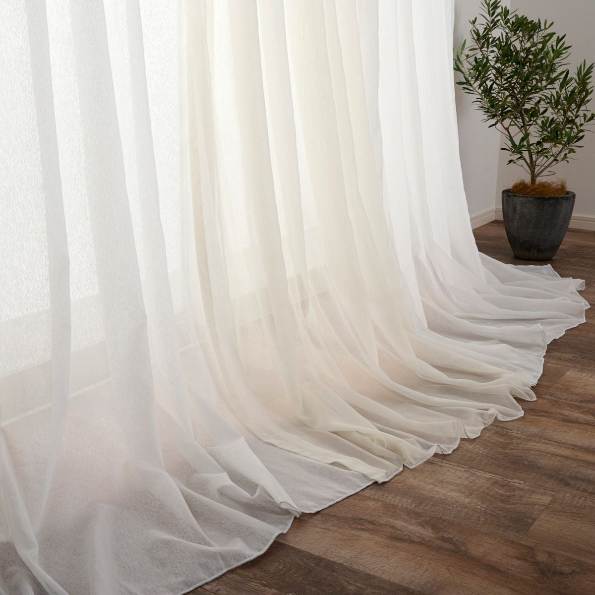 000000015119-01.jpg?size=l&w=