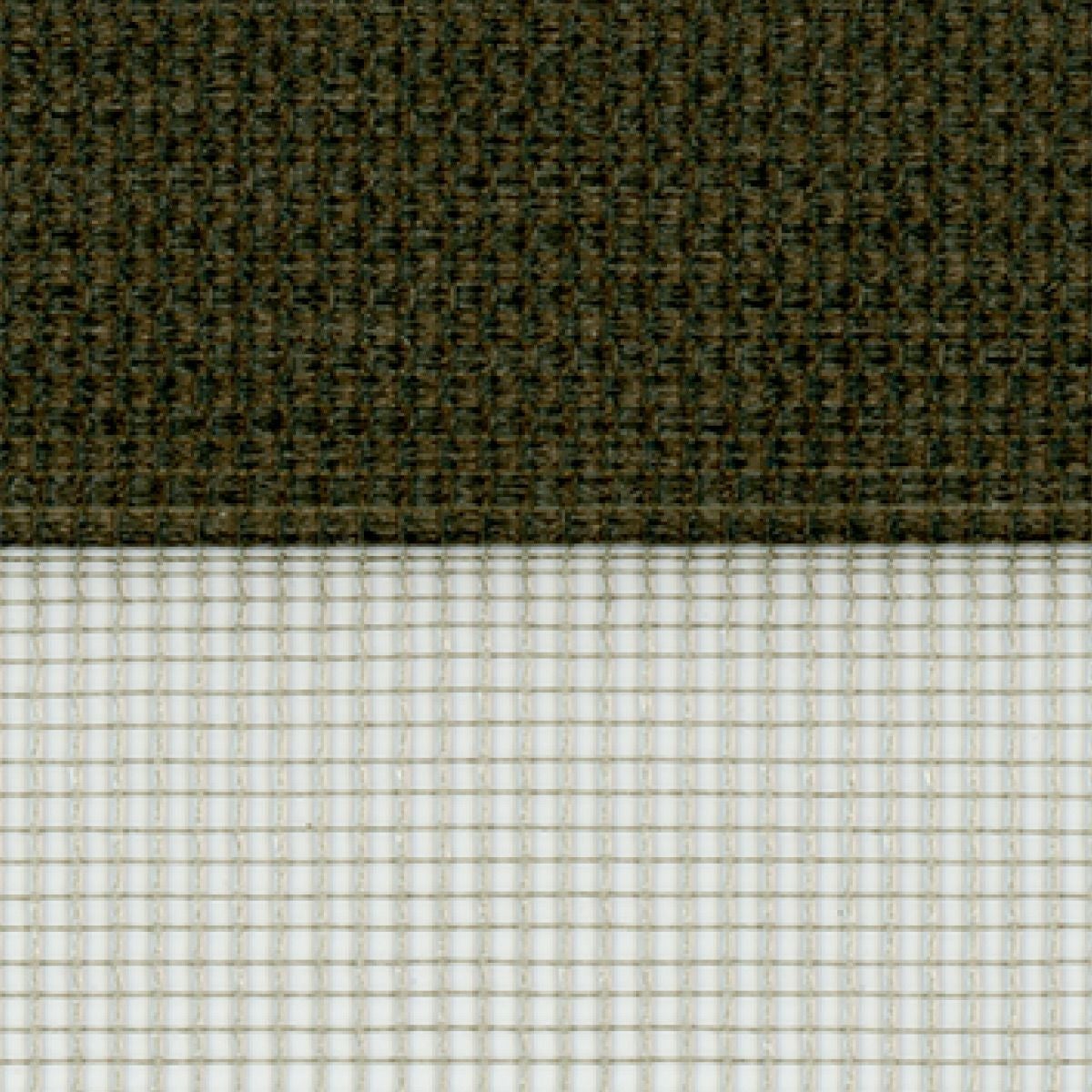 カラーバリエーション