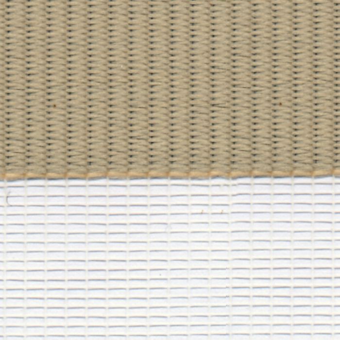 カラーバリエーション