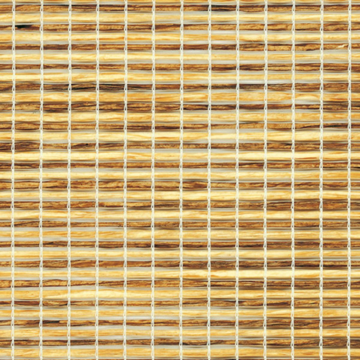 カラーバリエーション