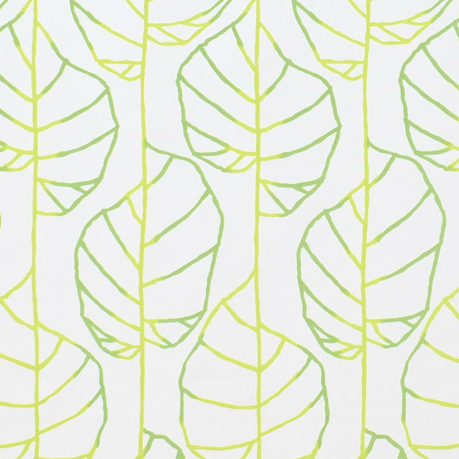 カラーバリエーション