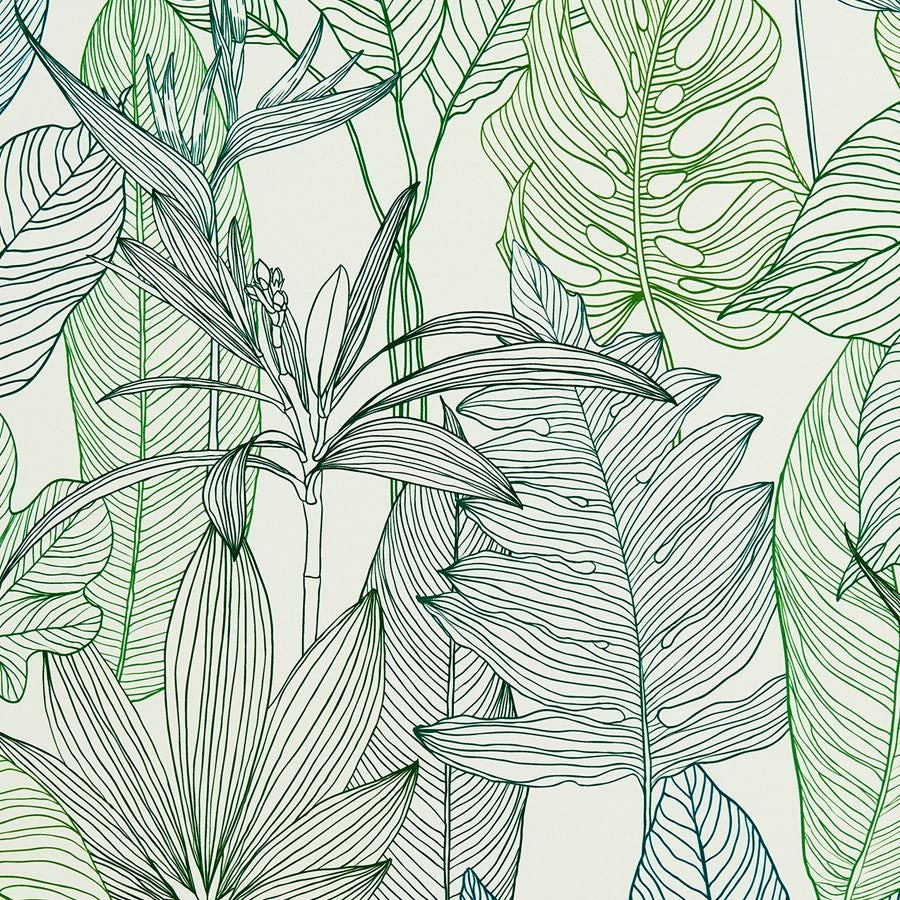 カラーバリエーション