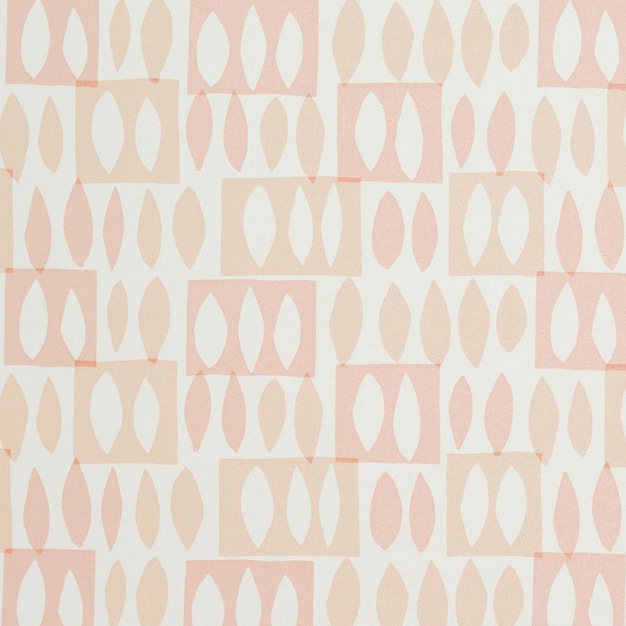 カラーバリエーション