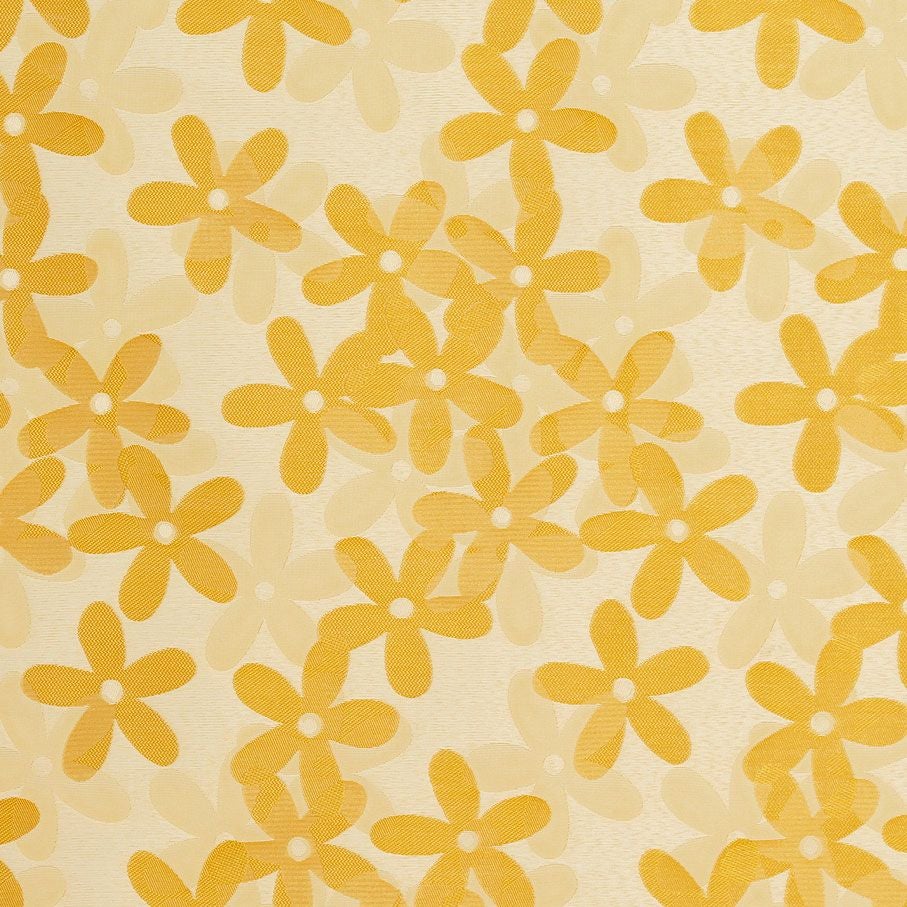 カラーバリエーション